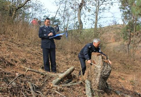 山東：今年前8個月批捕破壞環(huán)境資源保護(hù)犯罪案件254件