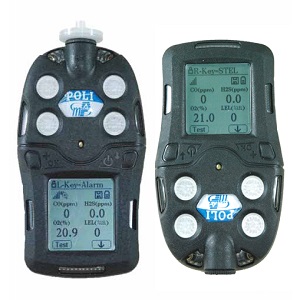 MP400系列復(fù)合氣體無線檢測儀